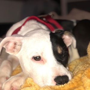 Meet your Posher, Mark